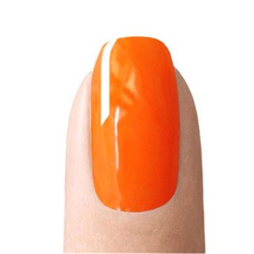 Colour Acrylic - Neons Neon Orange